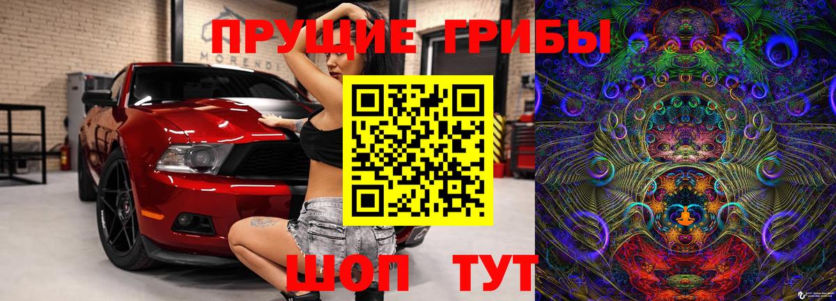 Псилоцибиновые грибы Cubensis Новошахтинск