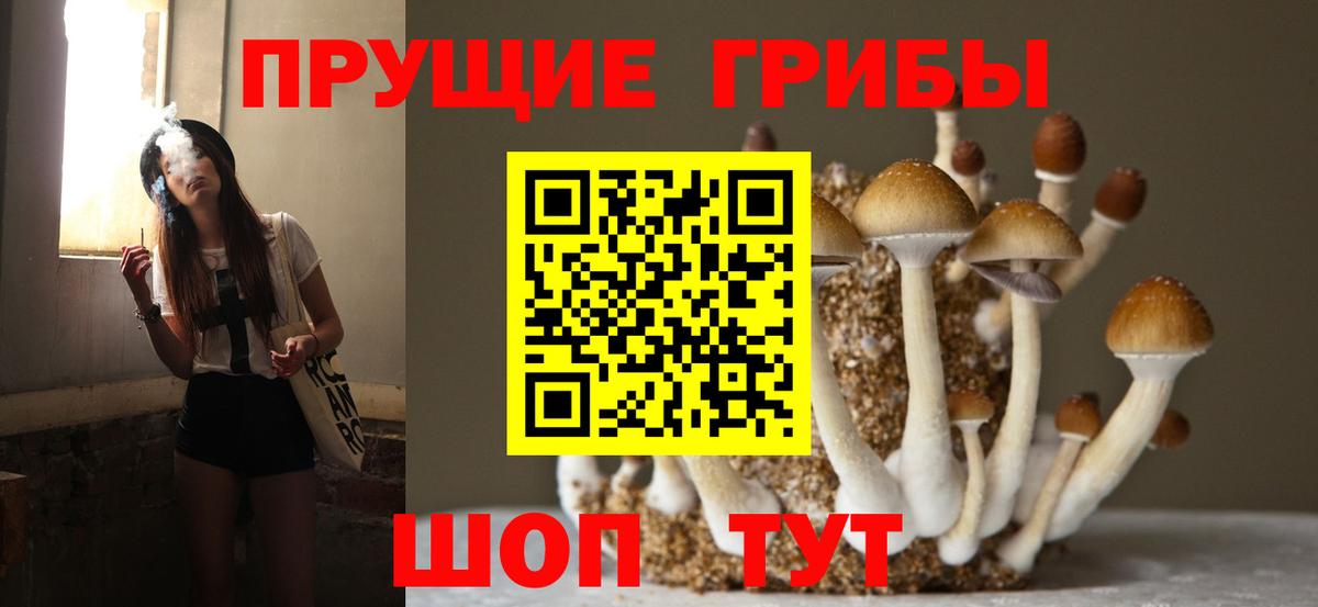 Галлюциногенные грибы мухоморы  Вход с VPN  Новошахтинск 